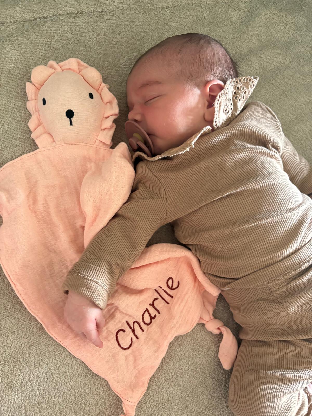 Knuffeldoekje leeuw met naam - roze